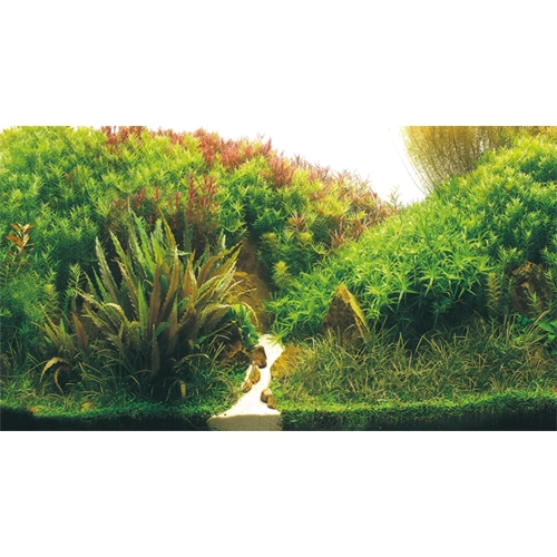 Akvariebaggrund Beplantet flod / Grønne klipper (50 cm høj) 100 cm